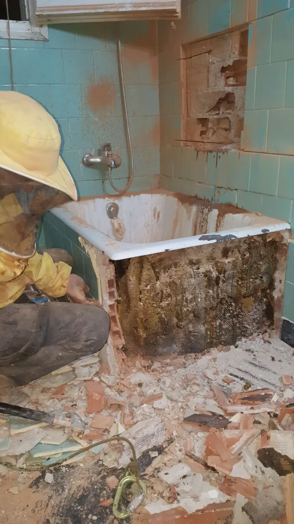 Bañera colmena